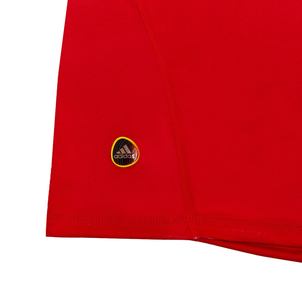 Camiseta de fútbol retro de España 2010 para el hogar 