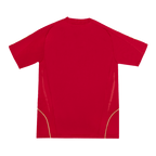 Camiseta de fútbol retro de España 2008