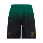 Soccer Kits AC Milan Fourth Away Soccer Jersey Kit(Jersey+Shorts) 2024/25 Green&Black