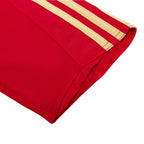 Camiseta de fútbol retro de España 2008