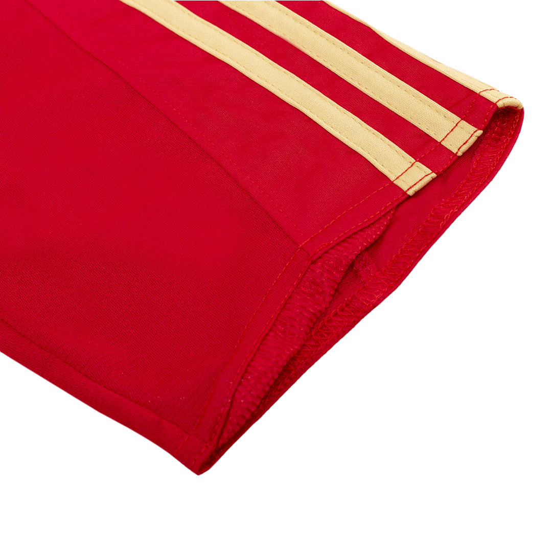 Camiseta de fútbol retro de España 2008