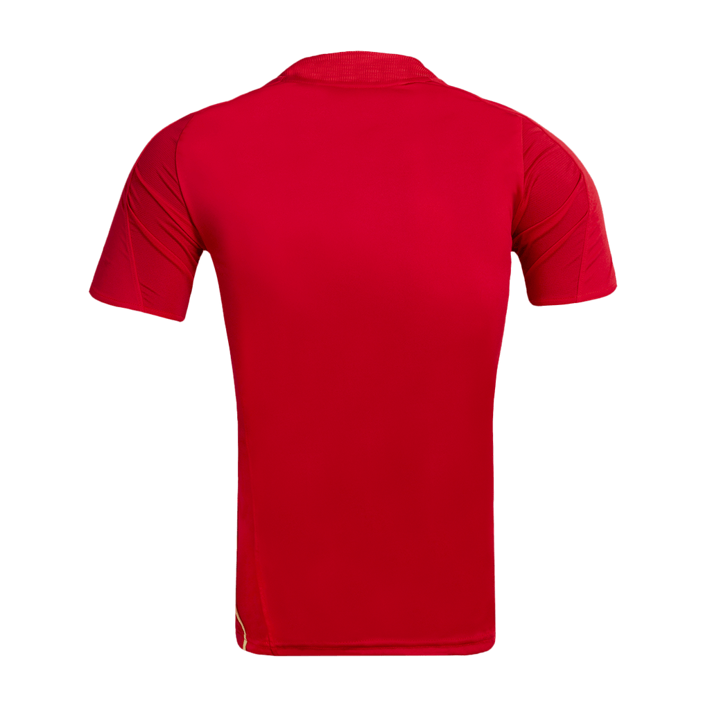 Camiseta de fútbol retro de España 2008
